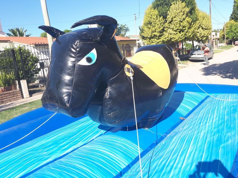 Toro Inflable — alquiler en Córdoba