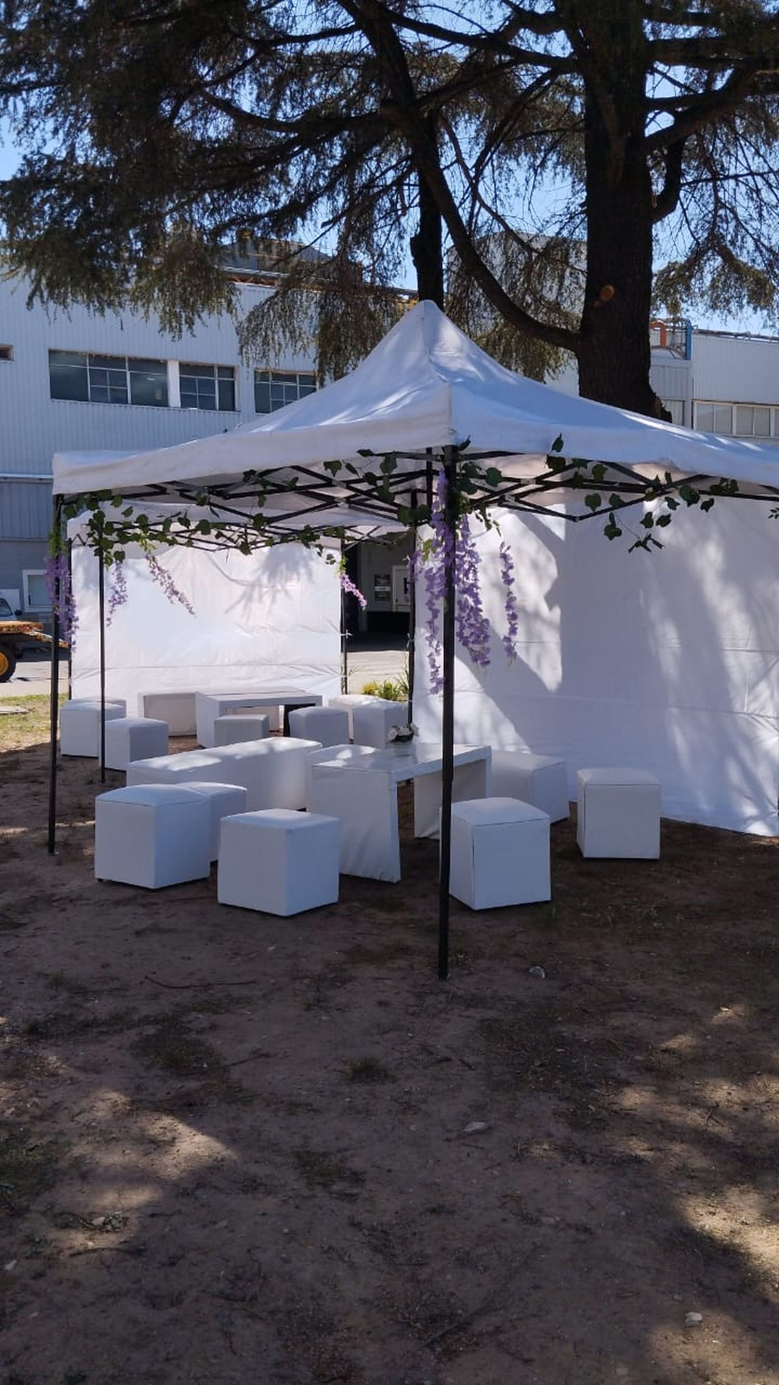 Living Adultos x 20 — alquiler en Córdoba
